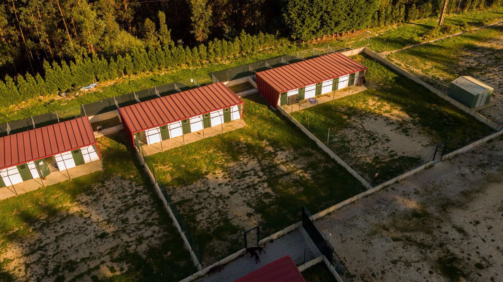 Centro Kennels, vista aérea del edicio y terrenos